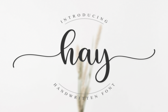 How the Hay Typeface Elevated My Small Business Brand