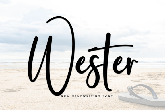 Wester: The Modern Typeface That Elevates Campaign Visuals